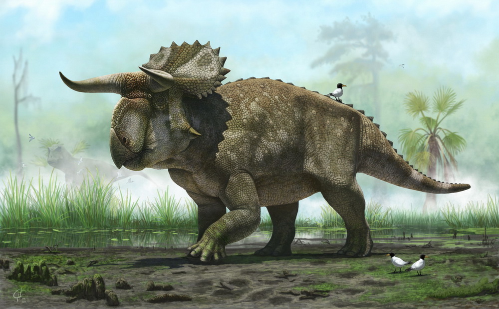 Nasutuceratops