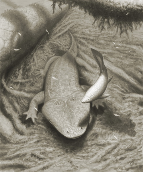 Parotosuchus
