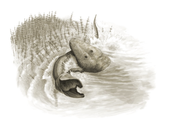 Parotosuchus and Garjainia
