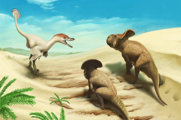 Velociraptor and protoceratopsians
